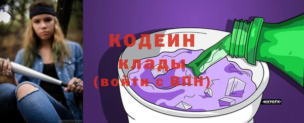 мдпв Корсаков