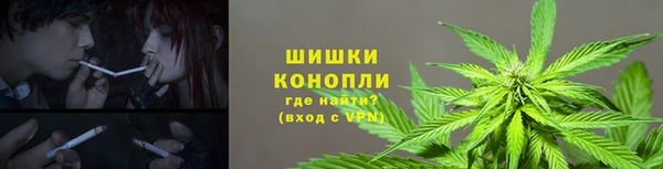 мдпв Корсаков