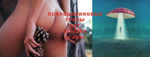 mix Коряжма