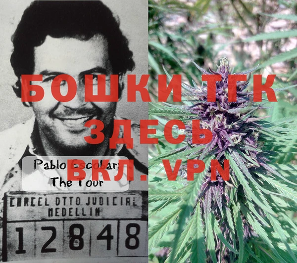 мдпв Корсаков