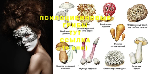 альфа пвп Краснотурьинск