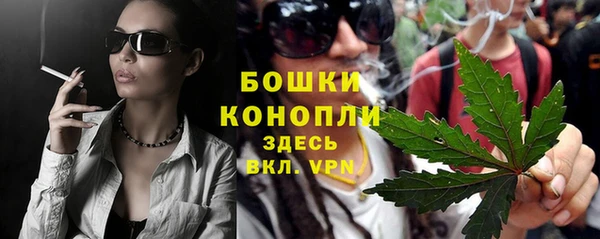 мдпв Корсаков