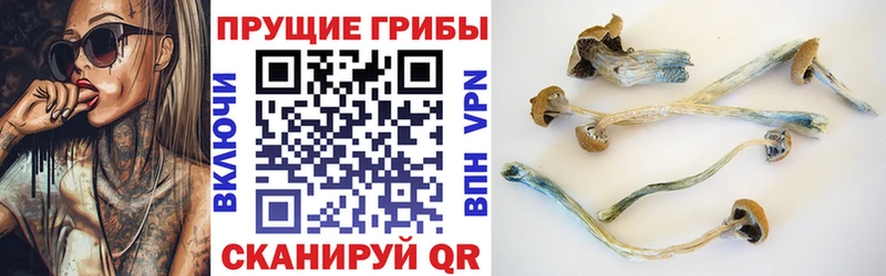Галлюциногенные грибы прущие грибы  Купить где  Ленинск 